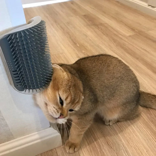 Why your Cat needs a self scratcher wall brush